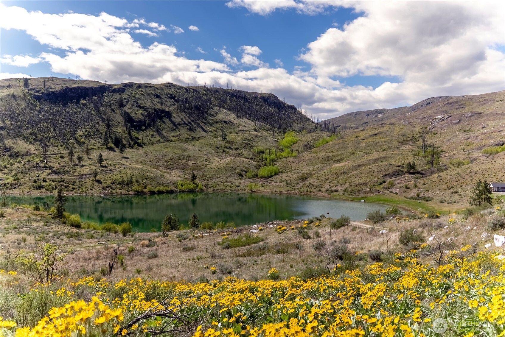 26 Alkali Lake Road Riverside, WA 98849 - Photo 28 of 31