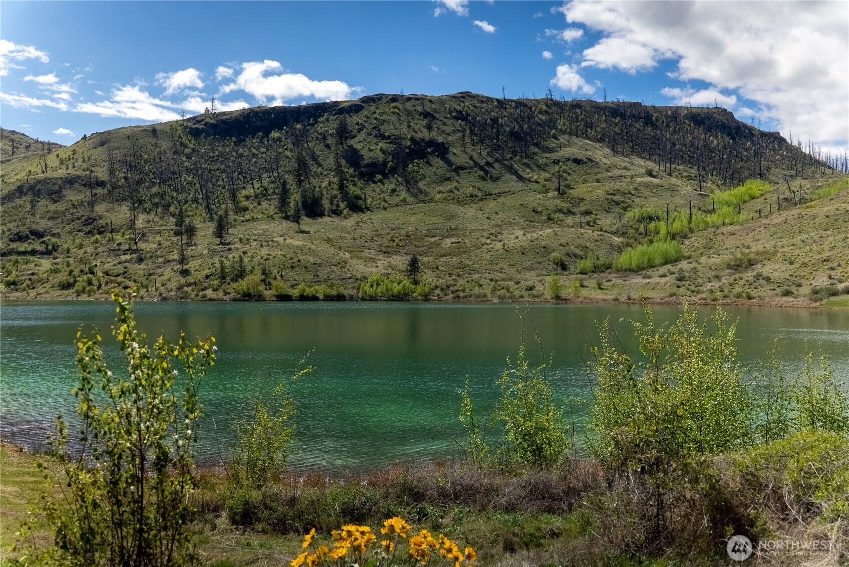 26 Alkali Lake Road Riverside, WA 98849 - Photo 31 of 31