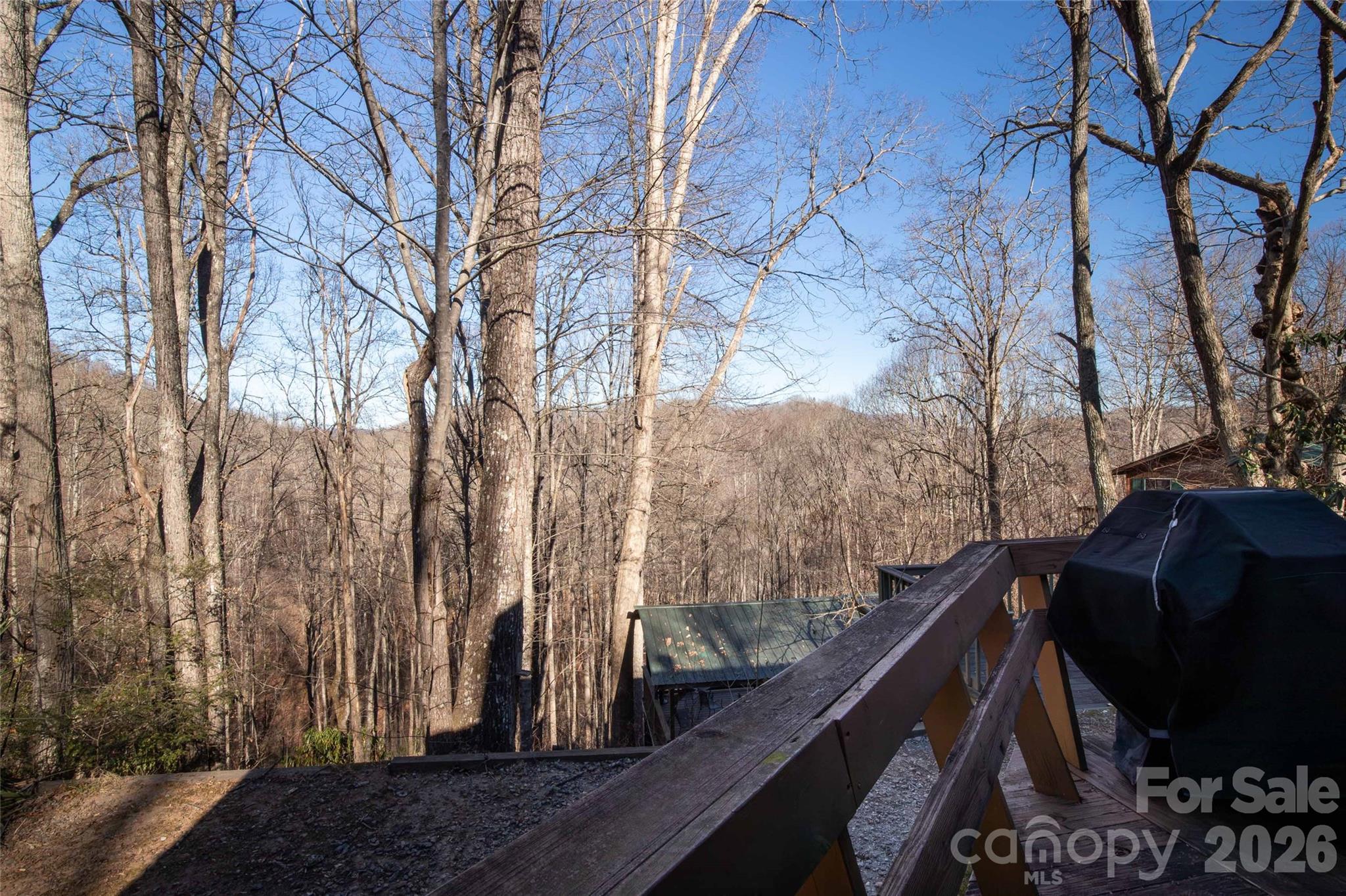 244 Grindstone Knob Road Whittier, NC 28789 - Photo 29 of 41