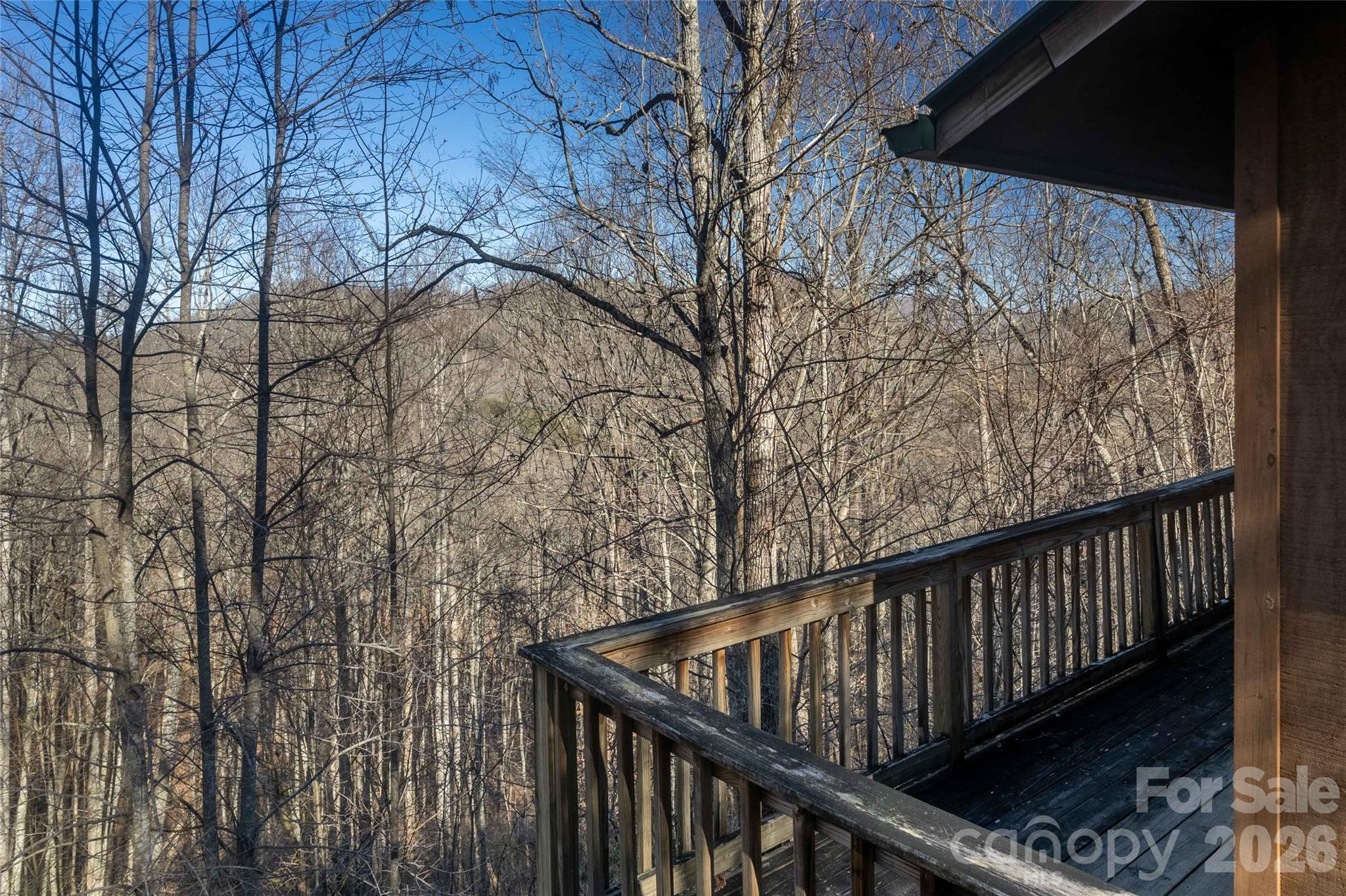 244 Grindstone Knob Road Whittier, NC 28789 - Photo 31 of 41