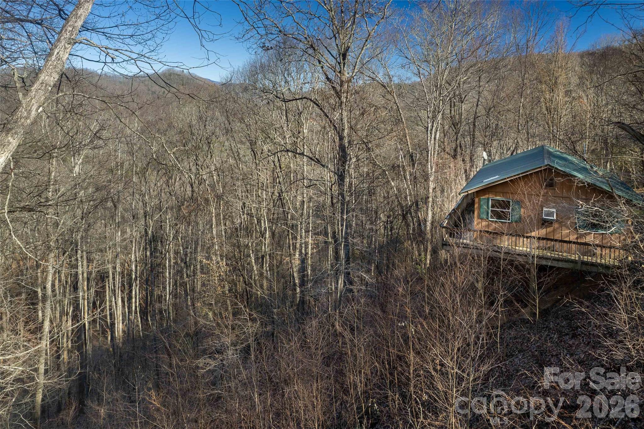 244 Grindstone Knob Road Whittier, NC 28789 - Photo 36 of 41