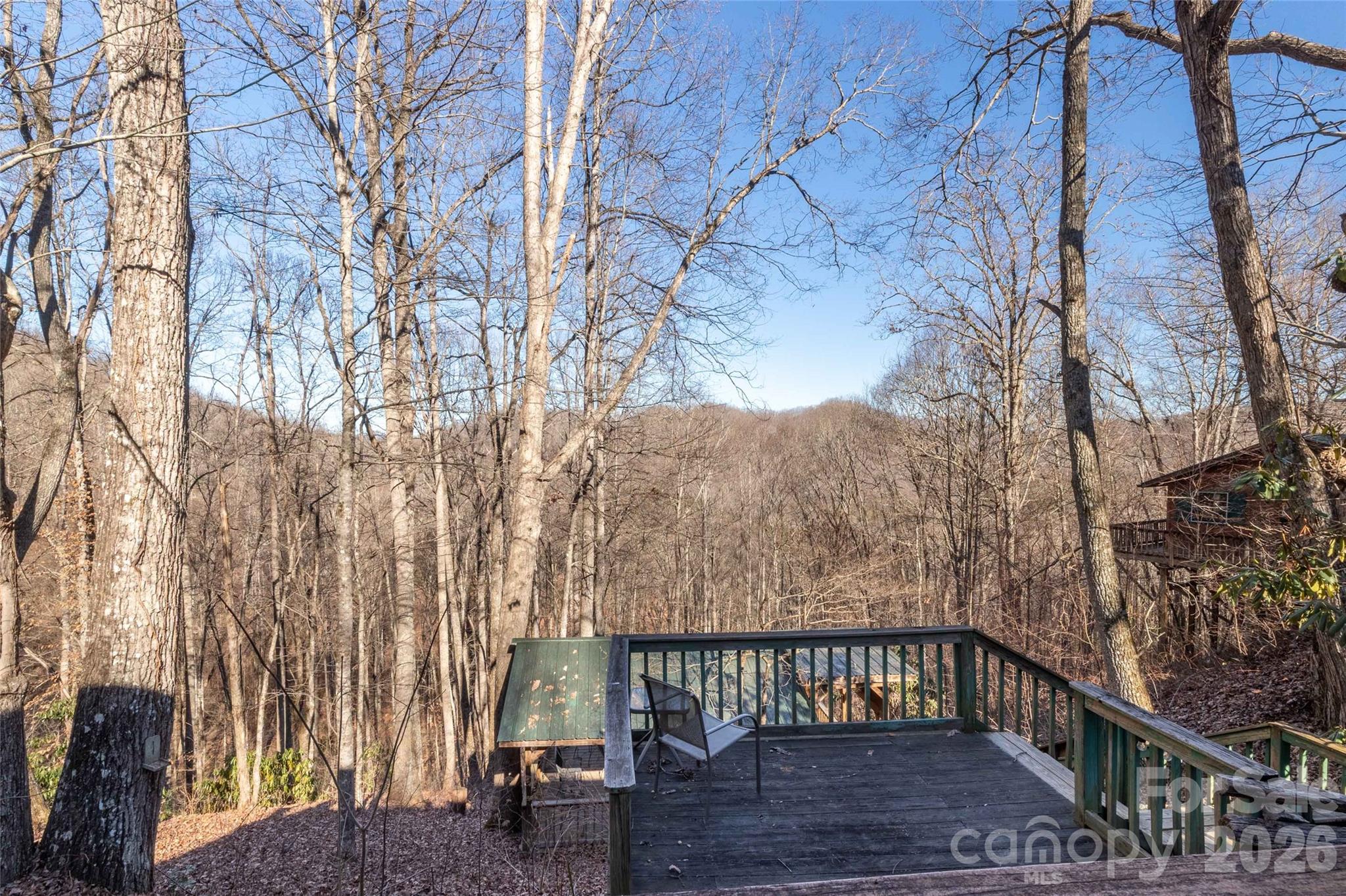 244 Grindstone Knob Road Whittier, NC 28789 - Photo 4 of 41