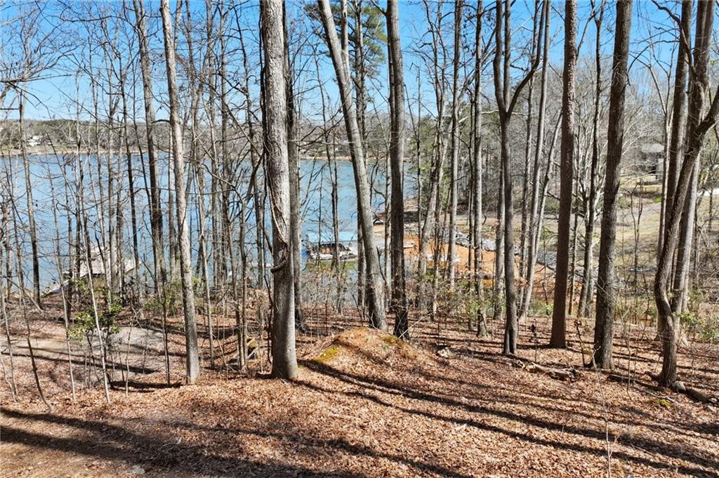 3116 Lake Ranch Circle Gainesville, GA 30506 - Photo 12 of 16