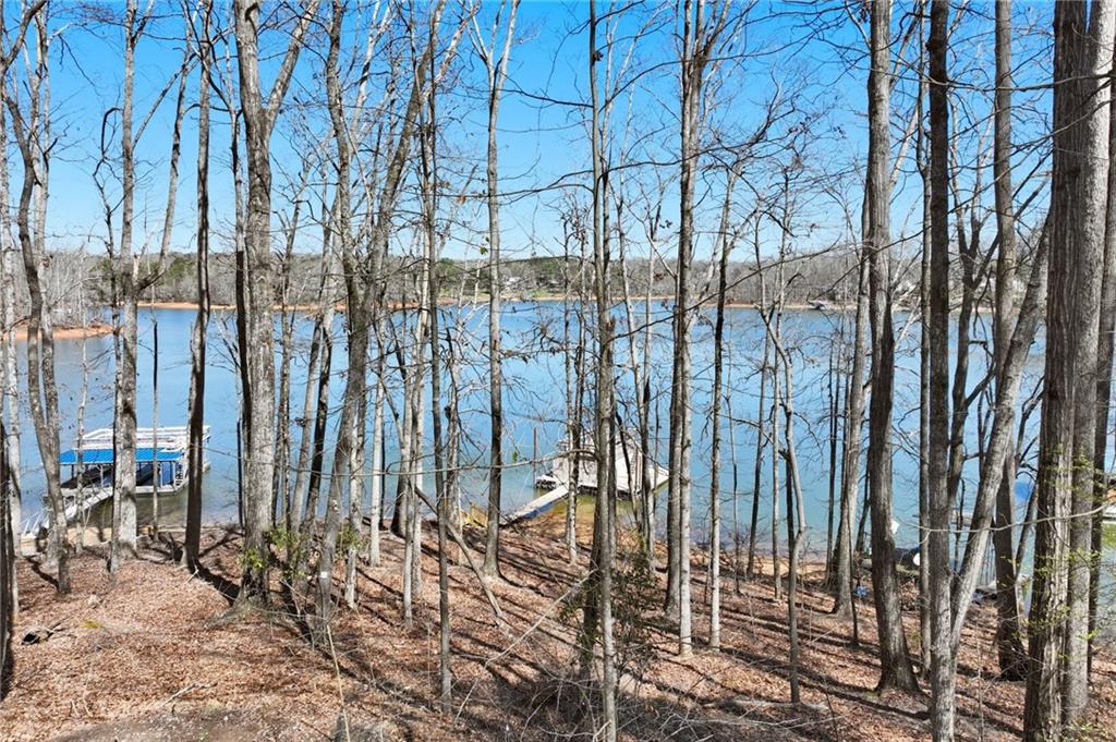 3116 Lake Ranch Circle Gainesville, GA 30506 - Photo 10 of 16