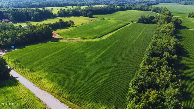 $151,200 | 51 County Road, Eupora, MS 39744