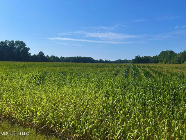 $151,200 | 51 County Road, Eupora, MS 39744