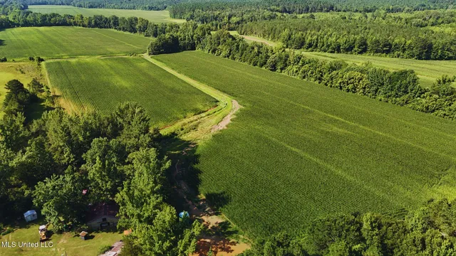 $151,200 | 51 County Road, Eupora, MS 39744