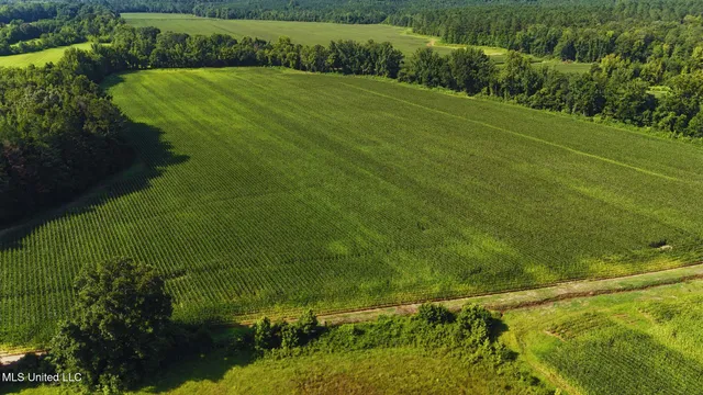 $151,200 | 51 County Road, Eupora, MS 39744