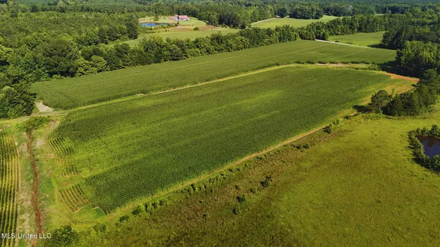 $151,200 | 51 County Road, Eupora, MS 39744