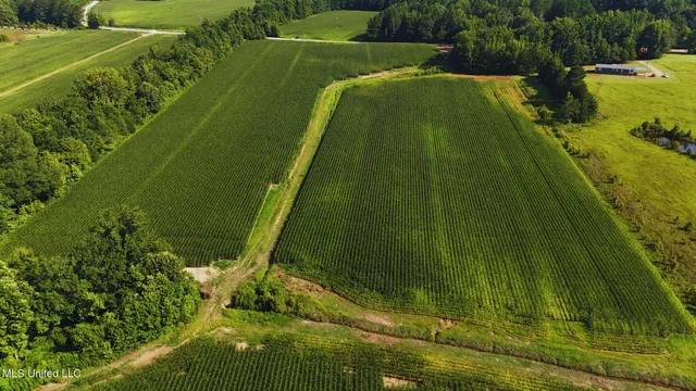 $151,200 | 51 County Road, Eupora, MS 39744