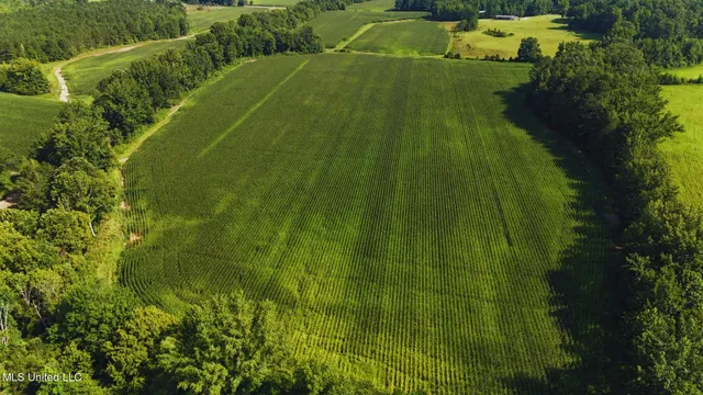 $151,200 | 51 County Road, Eupora, MS 39744