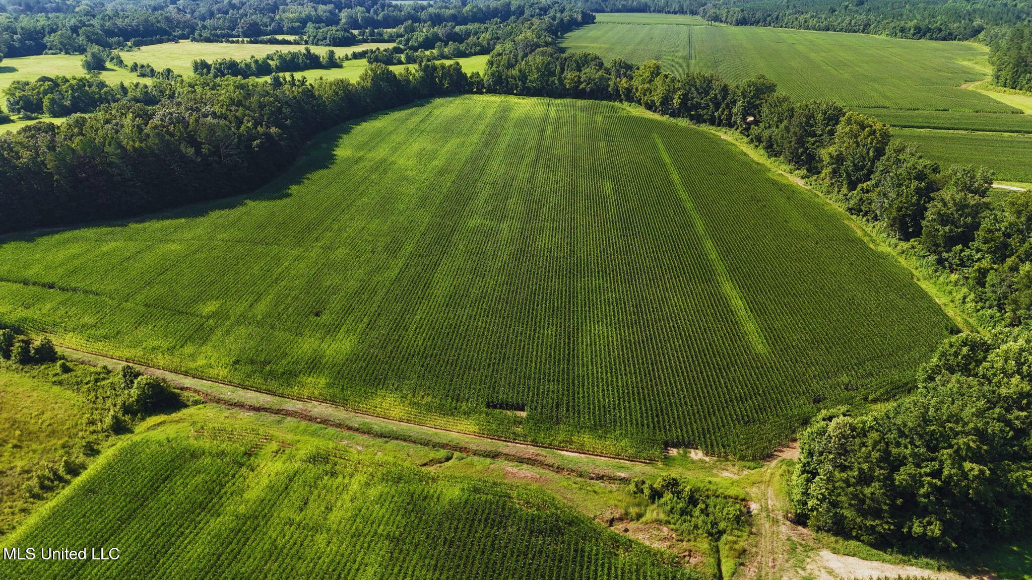 51 County Road Eupora, MS 39744 - Photo 7 of 13 7