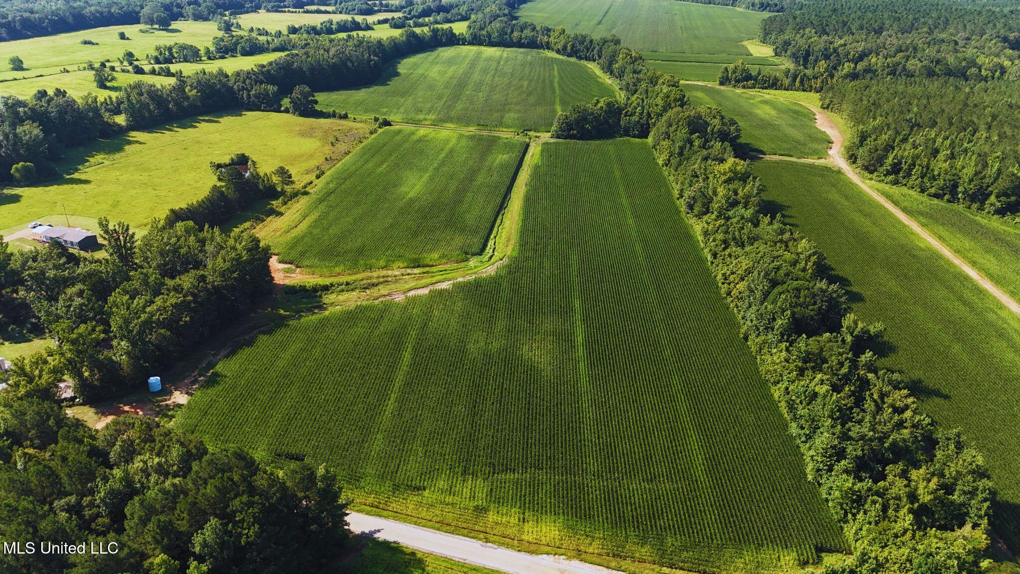 51 County Road Eupora, MS 39744 - Photo 9 of 13 9