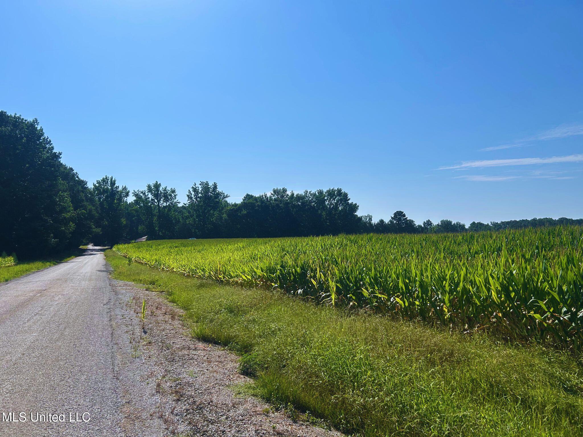 51 County Road Eupora, MS 39744 - Photo 10 of 13 10