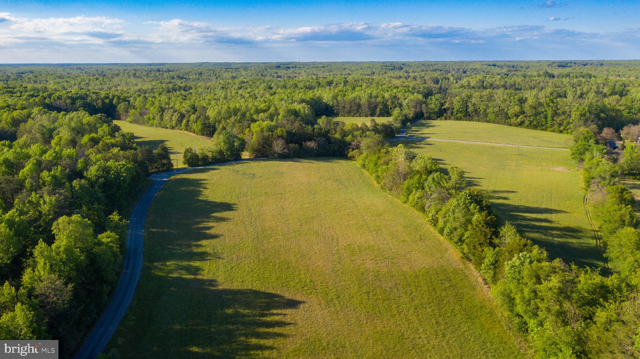 0 Trivette Road Beaverdam, VA 23015 - Photo 4 of 45