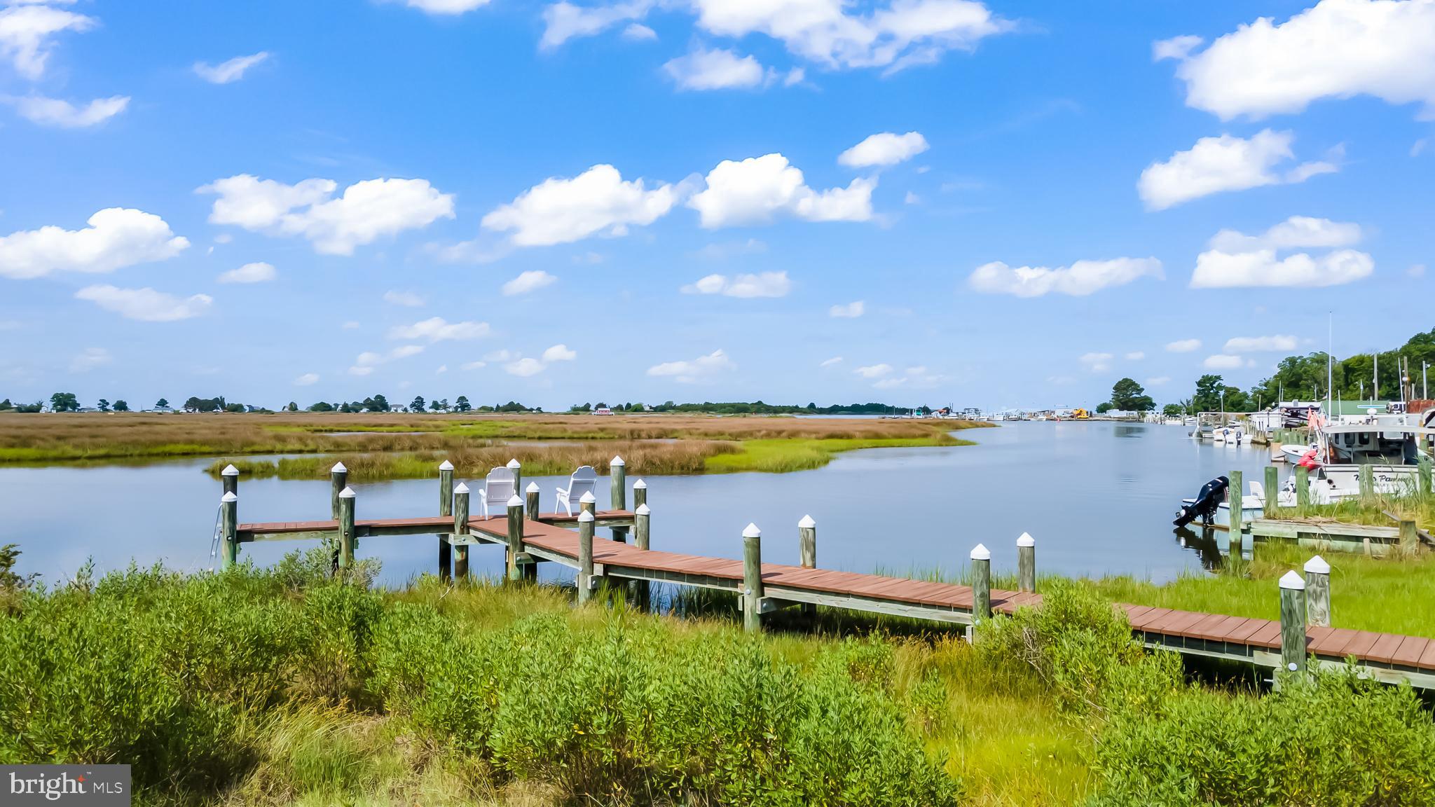 25914 Rumbley Road Westover, MD 21871 - Photo 6 of 89