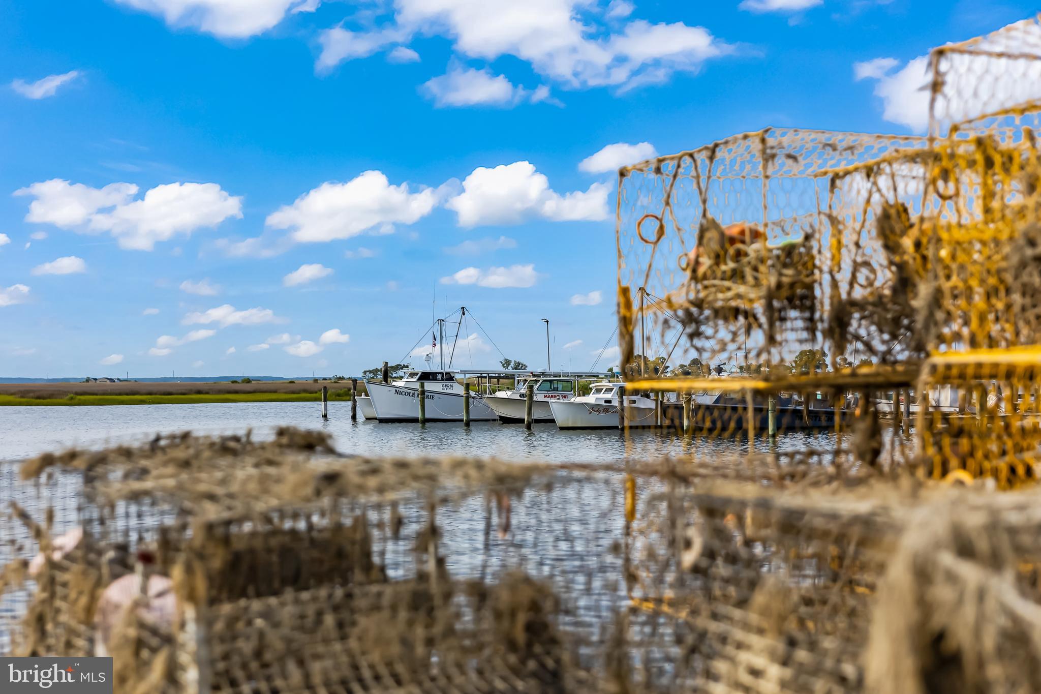 25914 Rumbley Road Westover, MD 21871 - Photo 73 of 89