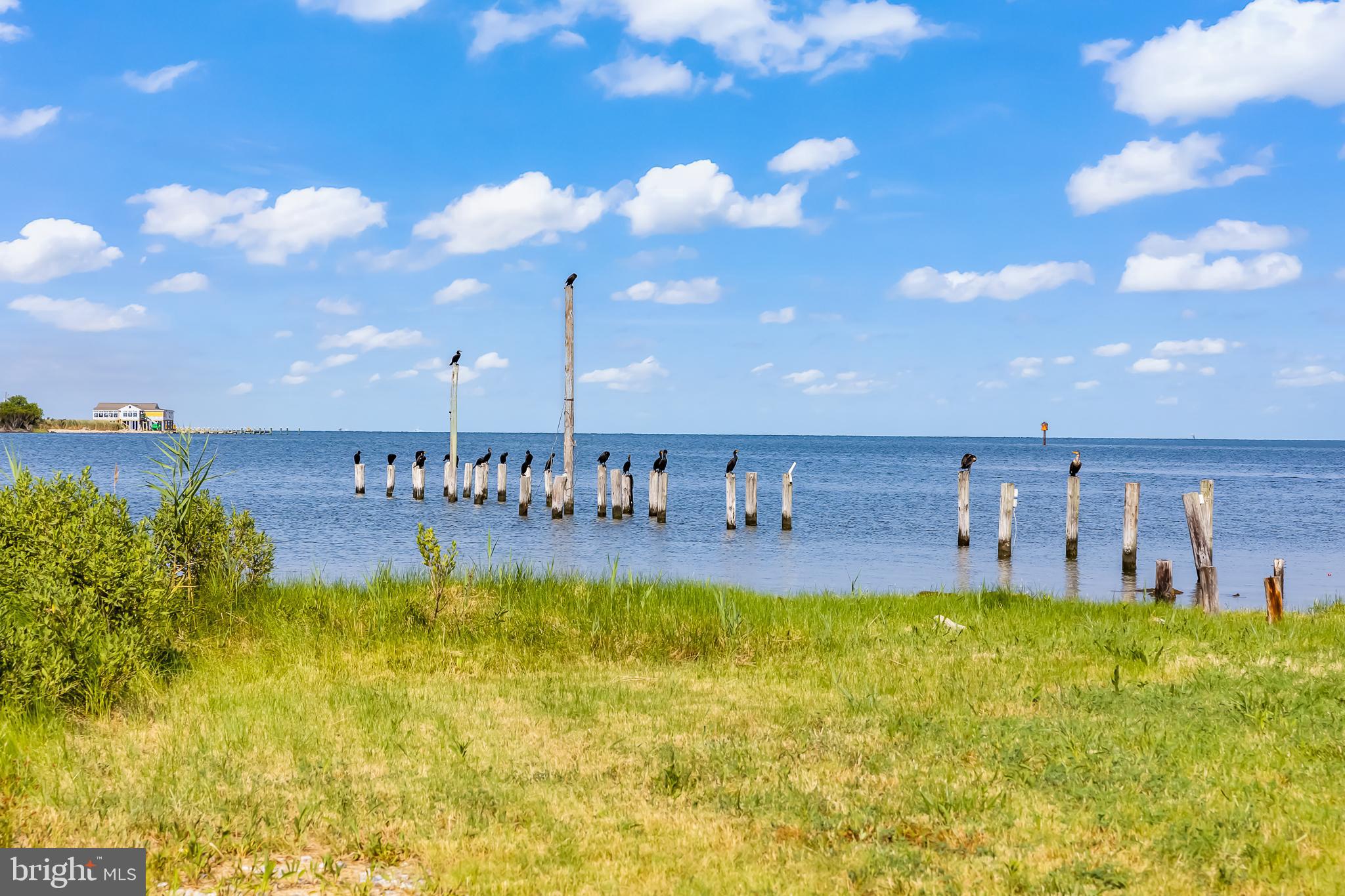 25914 Rumbley Road Westover, MD 21871 - Photo 80 of 89