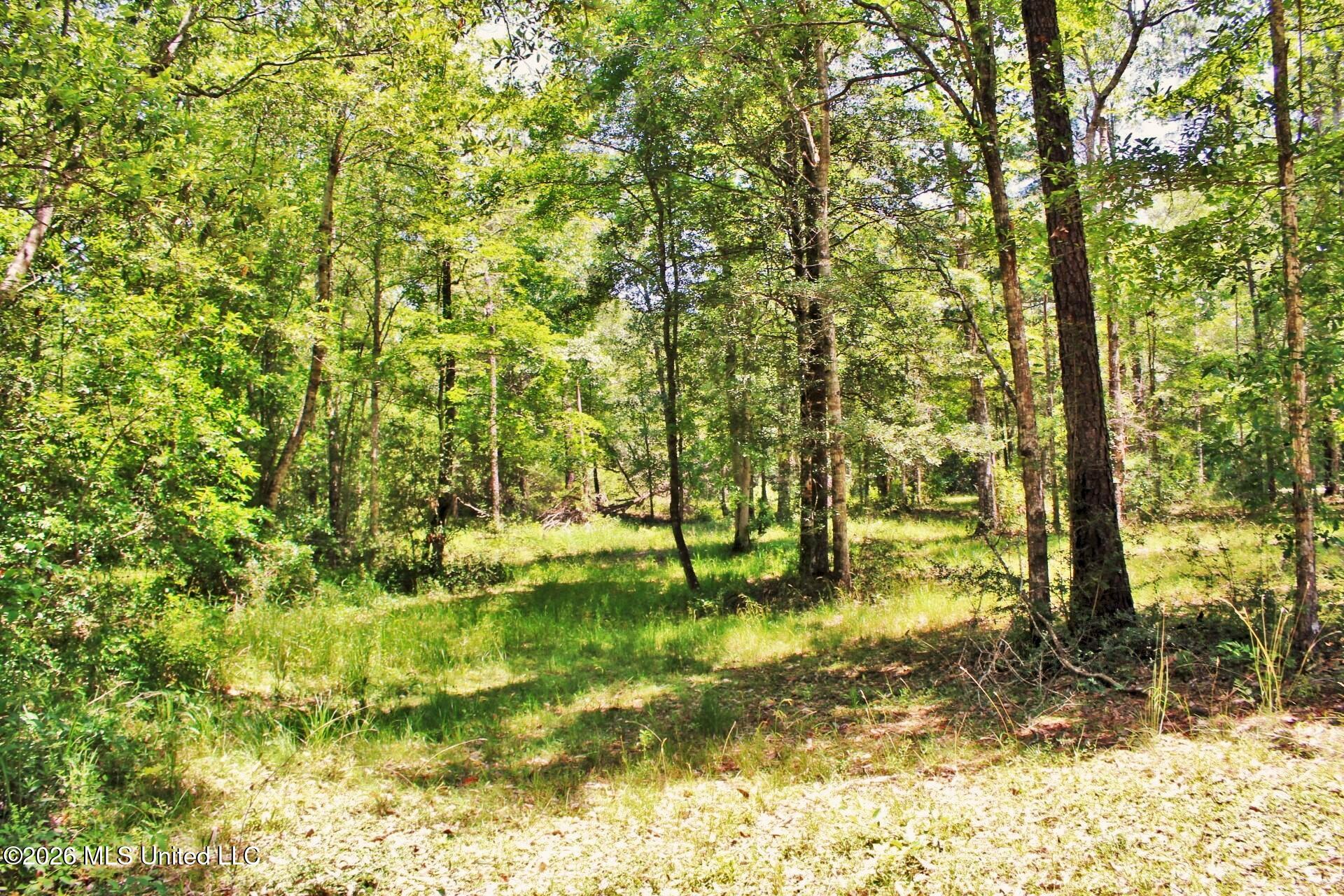 2.88-ac Morrison Road Lucedale, MS 39452 - Photo 11 of 12 6