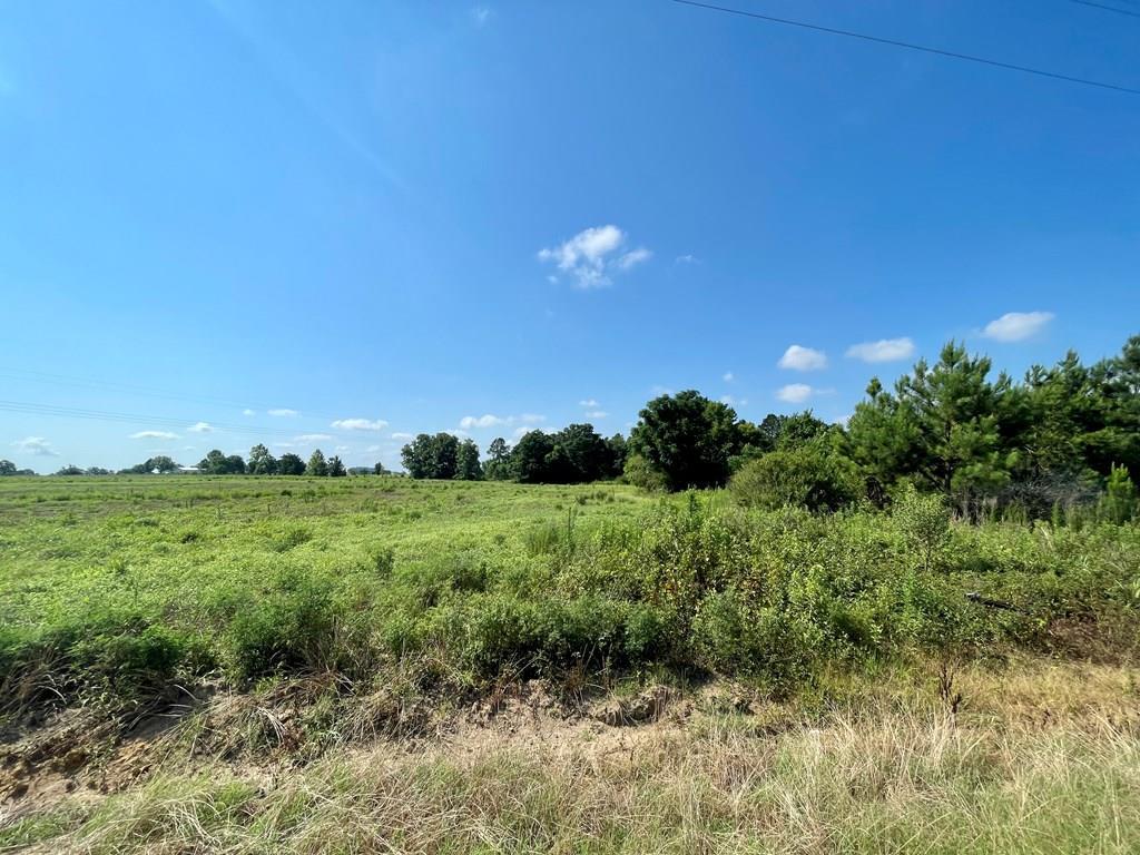 0 Bill Yance Road Webb, AL 36376 - Photo 3 of 6
