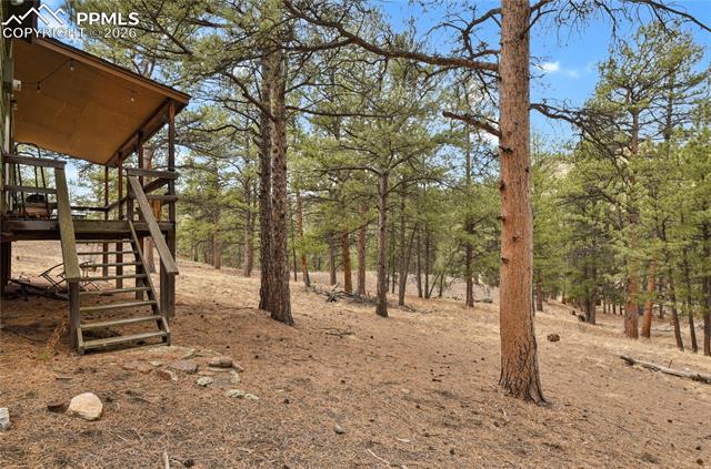80 South Crystal Road Lake George, CO 80827 - Photo 29 of 48 Gallery Image 29