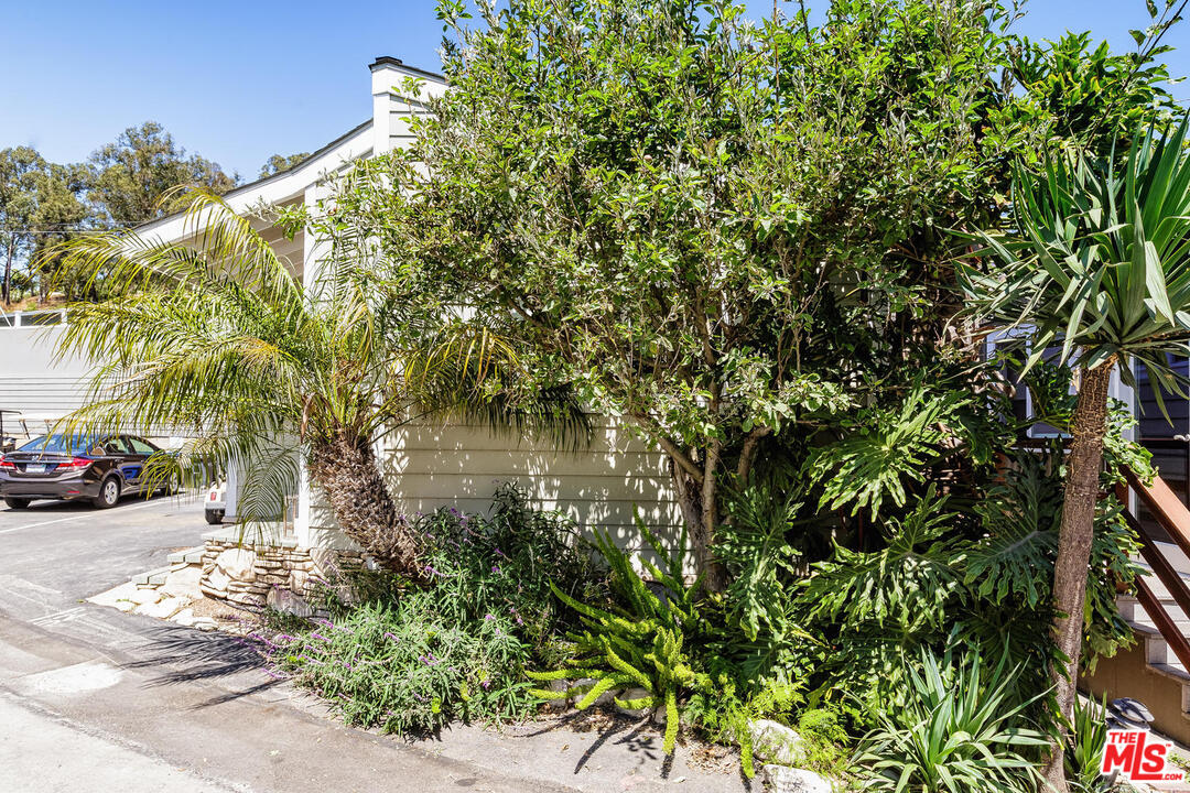 45 Paradise Cove Road Malibu, CA 90265 - Photo 15 of 15 a view of a lake with a tree