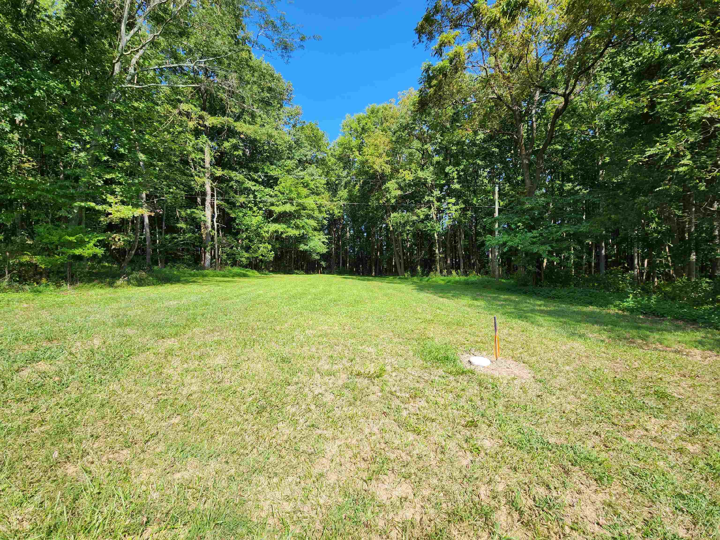1667 Bowers Store Road Siler City, NC 27344 - Photo 4 of 12 a view of a grassy field with trees in the background