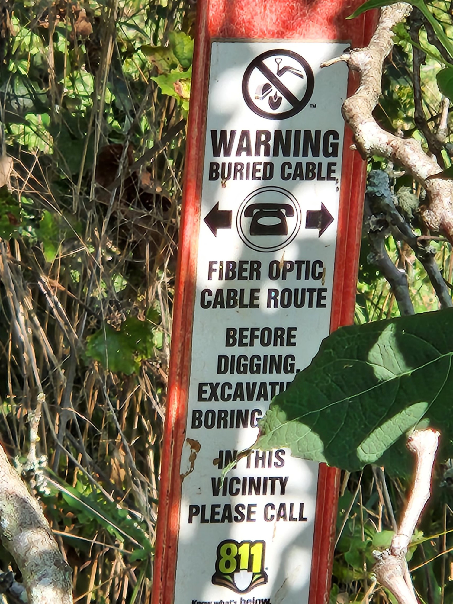 1667 Bowers Store Road Siler City, NC 27344 - Photo 10 of 12 a front view of a multi story building with yard