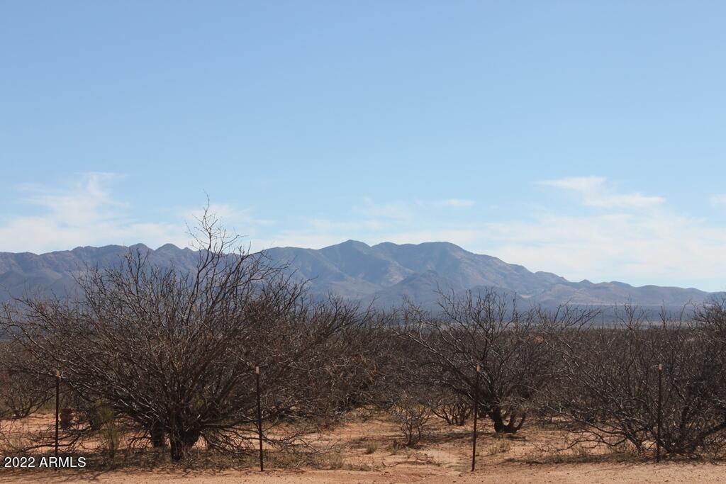 6271 South Hargis Ranch Road Hereford, AZ 85615 - Photo 38 of 38 IMG_6175