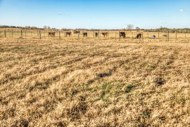 $679,000 | 12709 Farm To Market 1155, Brenham, TX 77833