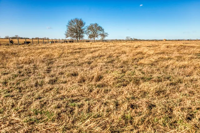 $679,000 | 12709 Farm To Market 1155, Brenham, TX 77833