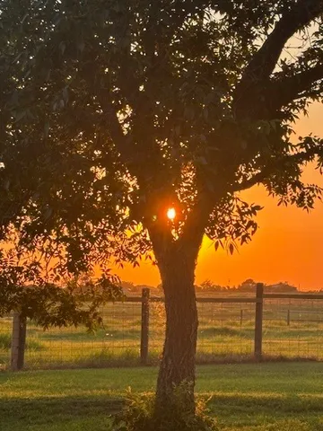 $679,000 | 12709 Farm To Market 1155, Brenham, TX 77833