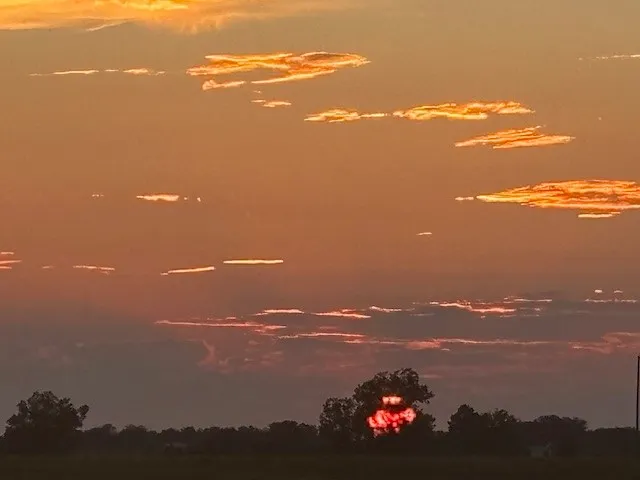 $679,000 | 12709 Farm To Market 1155, Brenham, TX 77833