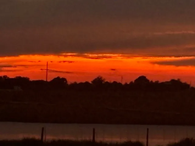 $679,000 | 12709 Farm To Market 1155, Brenham, TX 77833