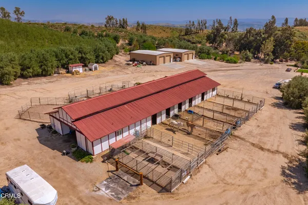 a view of a garden with a flower in a garden