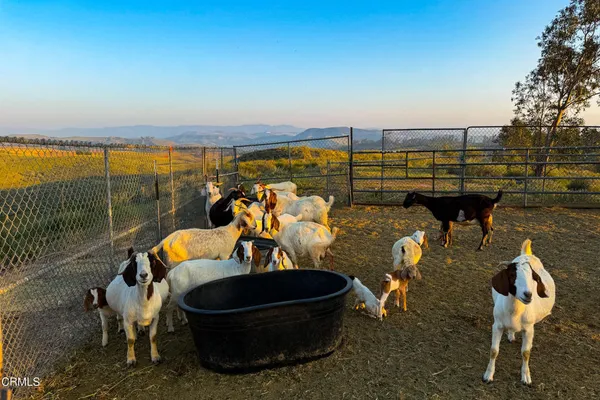 $12,750,000 | 14855 Middle Ranch Road, Moorpark, CA 93021