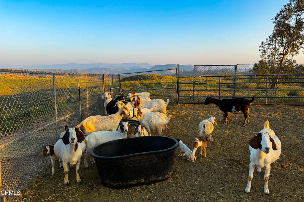14855 Middle Ranch Road Moorpark, CA 93021 - Photo 62 of 75