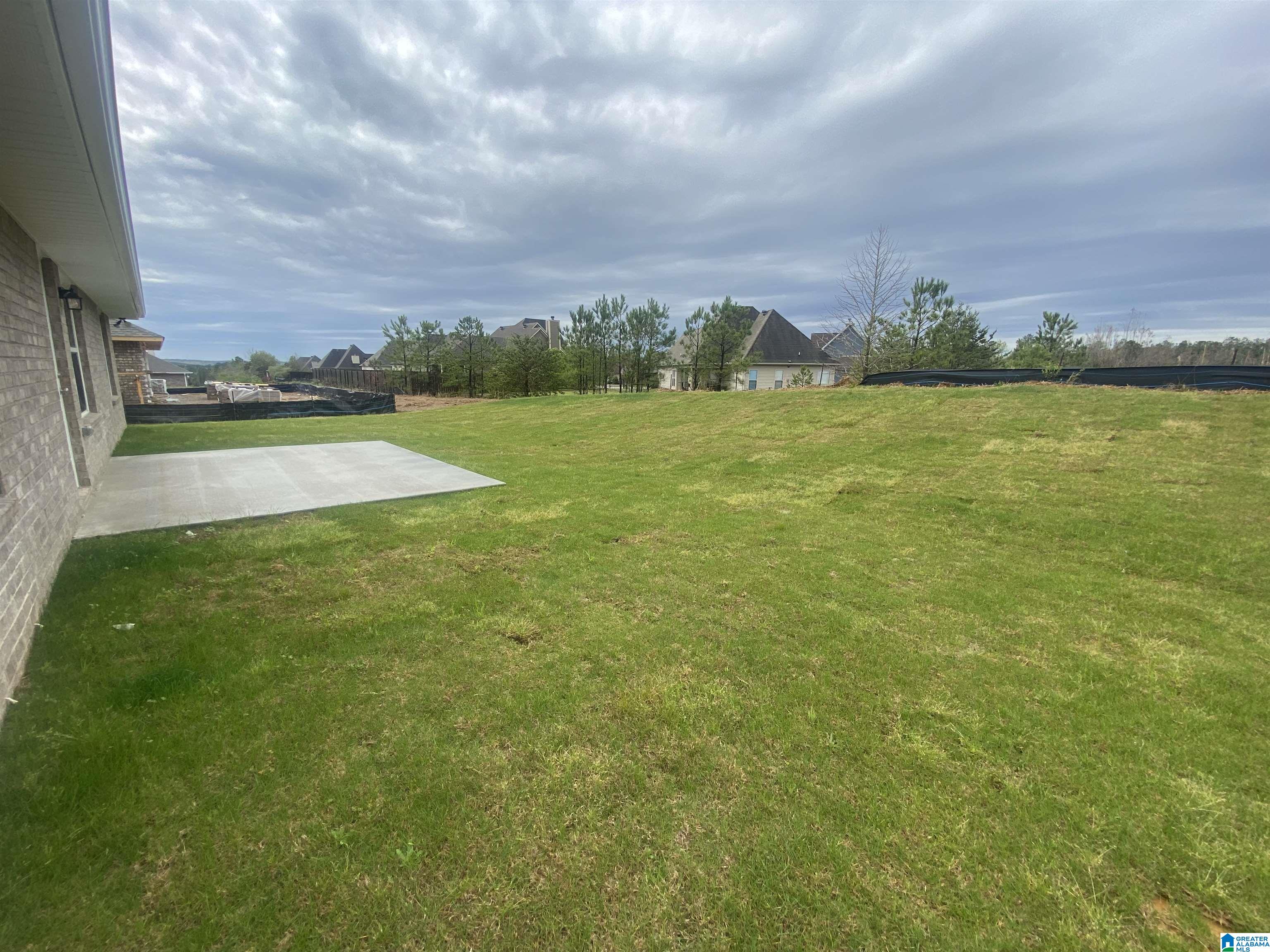 2040 Turquoise Lane Calera, AL 35040 - Photo 22 of 26