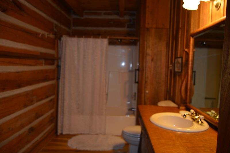 390 Ed Sanders Road Lynchburg, TN 37352 - Photo 8 of 11 a bathroom with a sink toilet and shower
