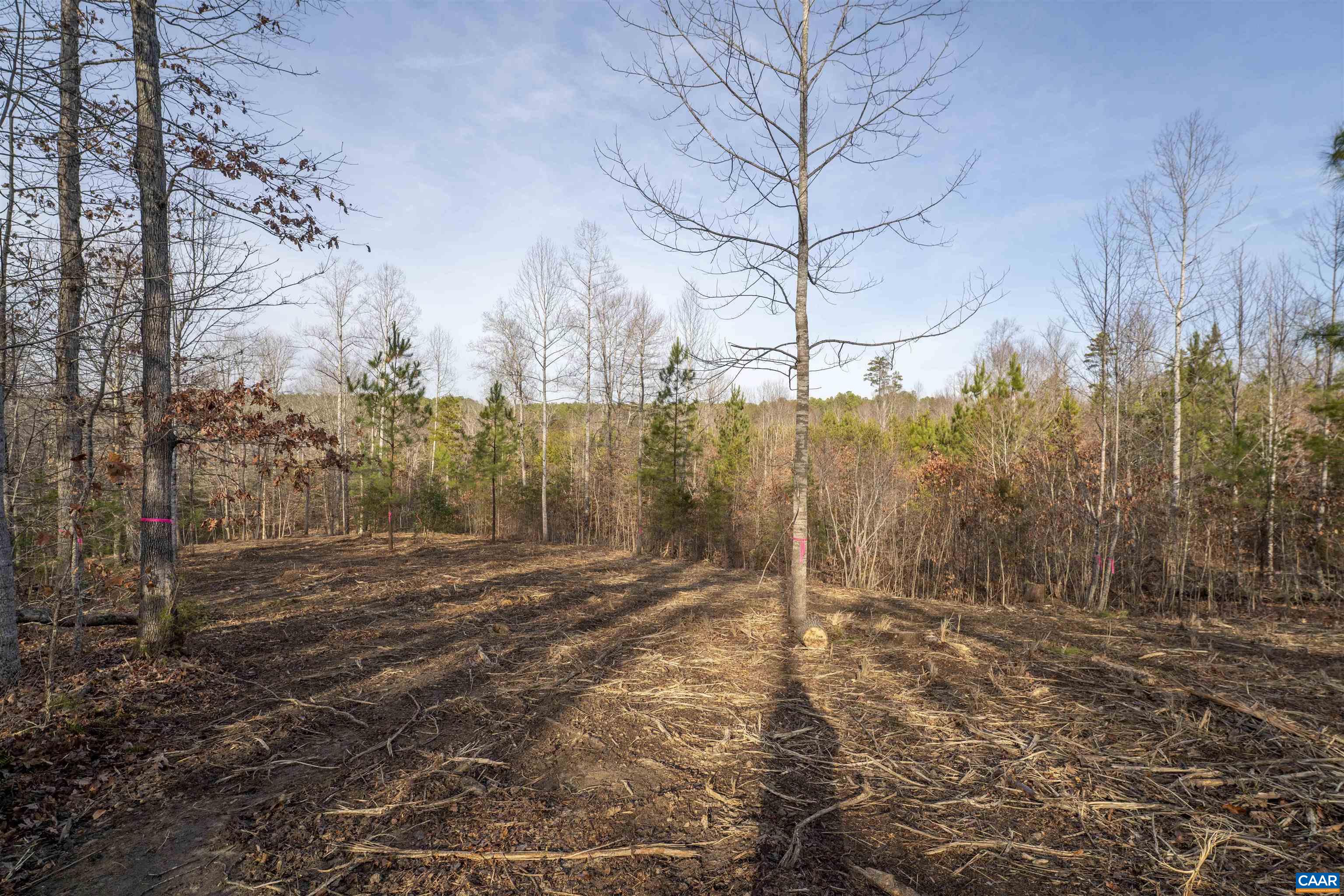 3860-5 Gilbert Station Road Barboursville, VA 22923 - Photo 12 of 17 a view of a yard covered with snow