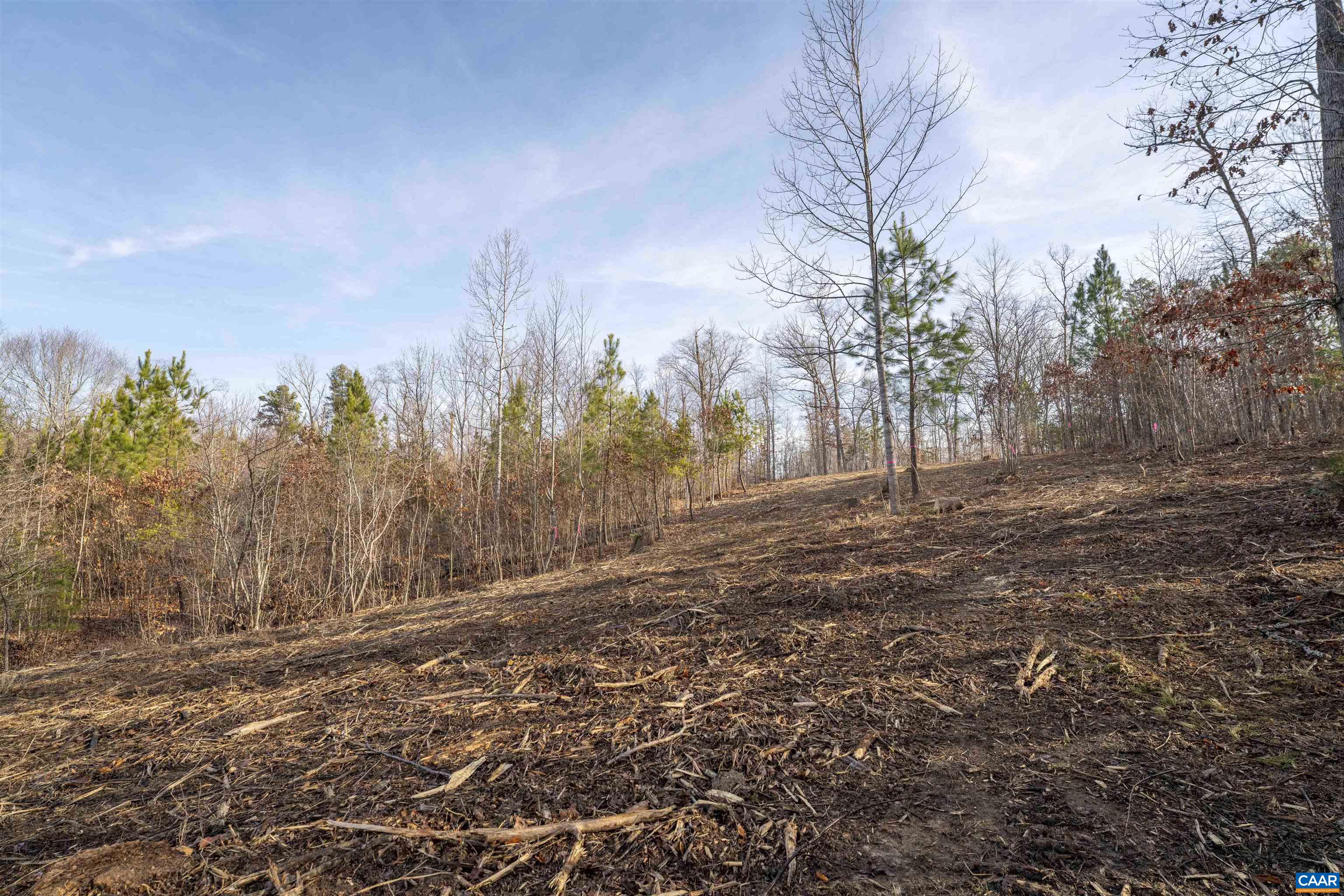 3860-5 Gilbert Station Road Barboursville, VA 22923 - Photo 13 of 17 a view of road view with large trees