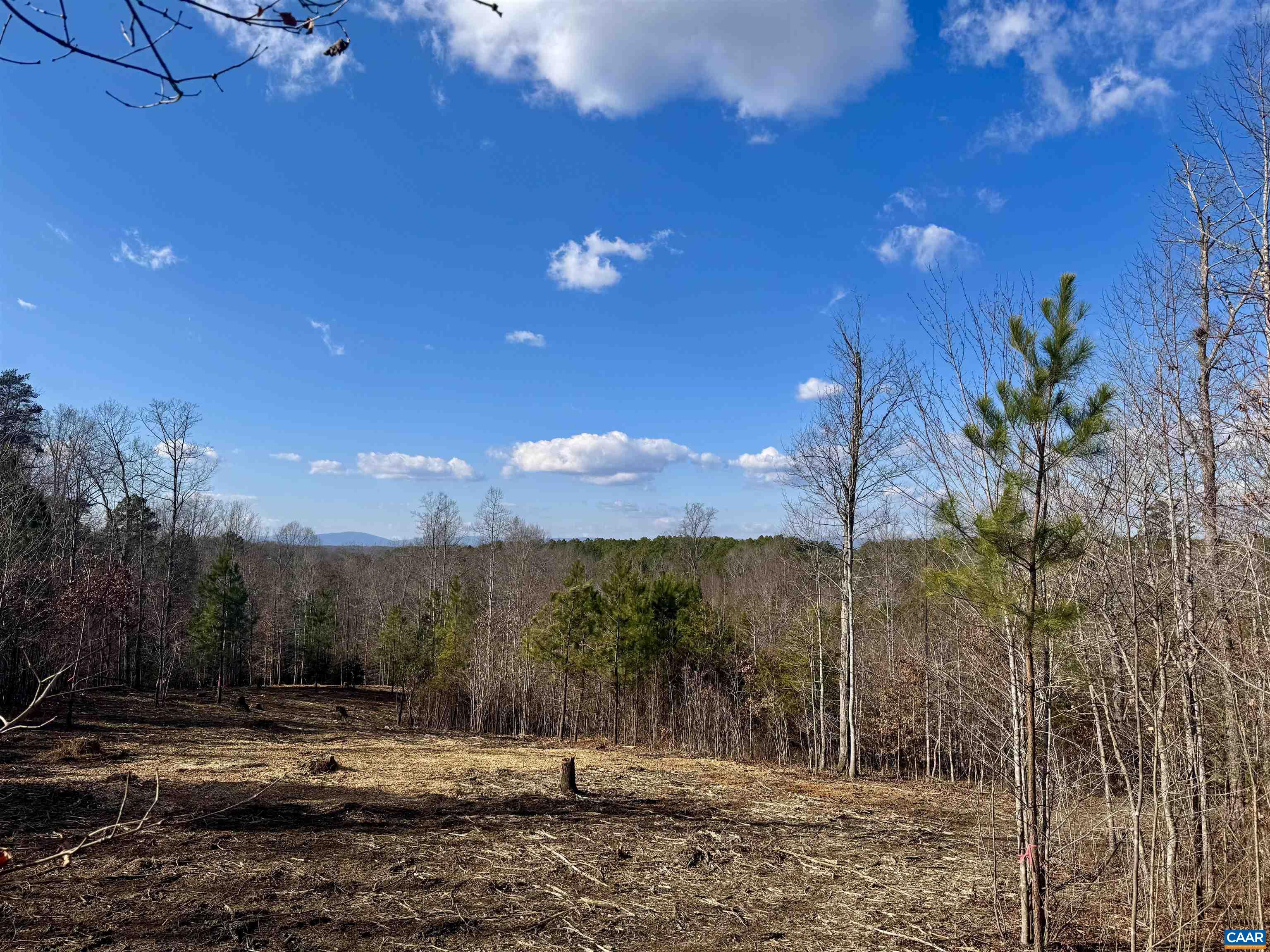 3860-5 Gilbert Station Road Barboursville, VA 22923 - Photo 2 of 17 a view of a yard with mountain view