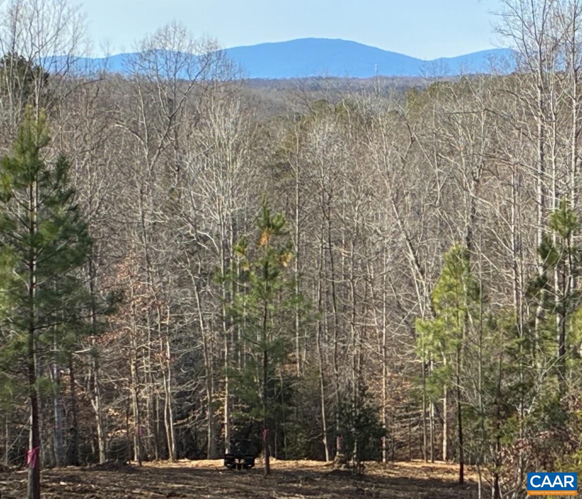 3860-5 Gilbert Station Road Barboursville, VA 22923 - Photo 3 of 17 a view of outdoor space and city view