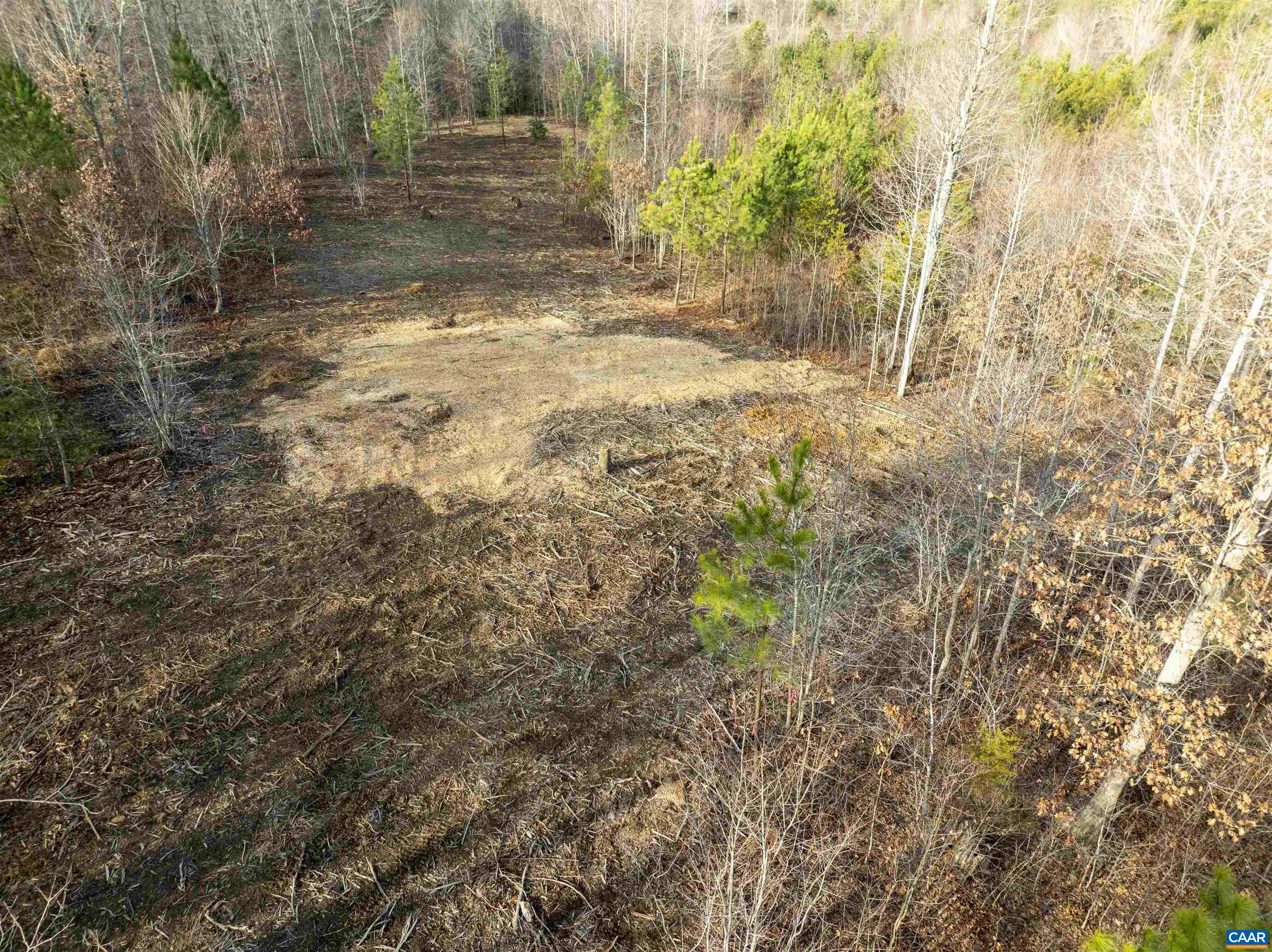 3860-5 Gilbert Station Road Barboursville, VA 22923 - Photo 5 of 17 a view of a yard with trees