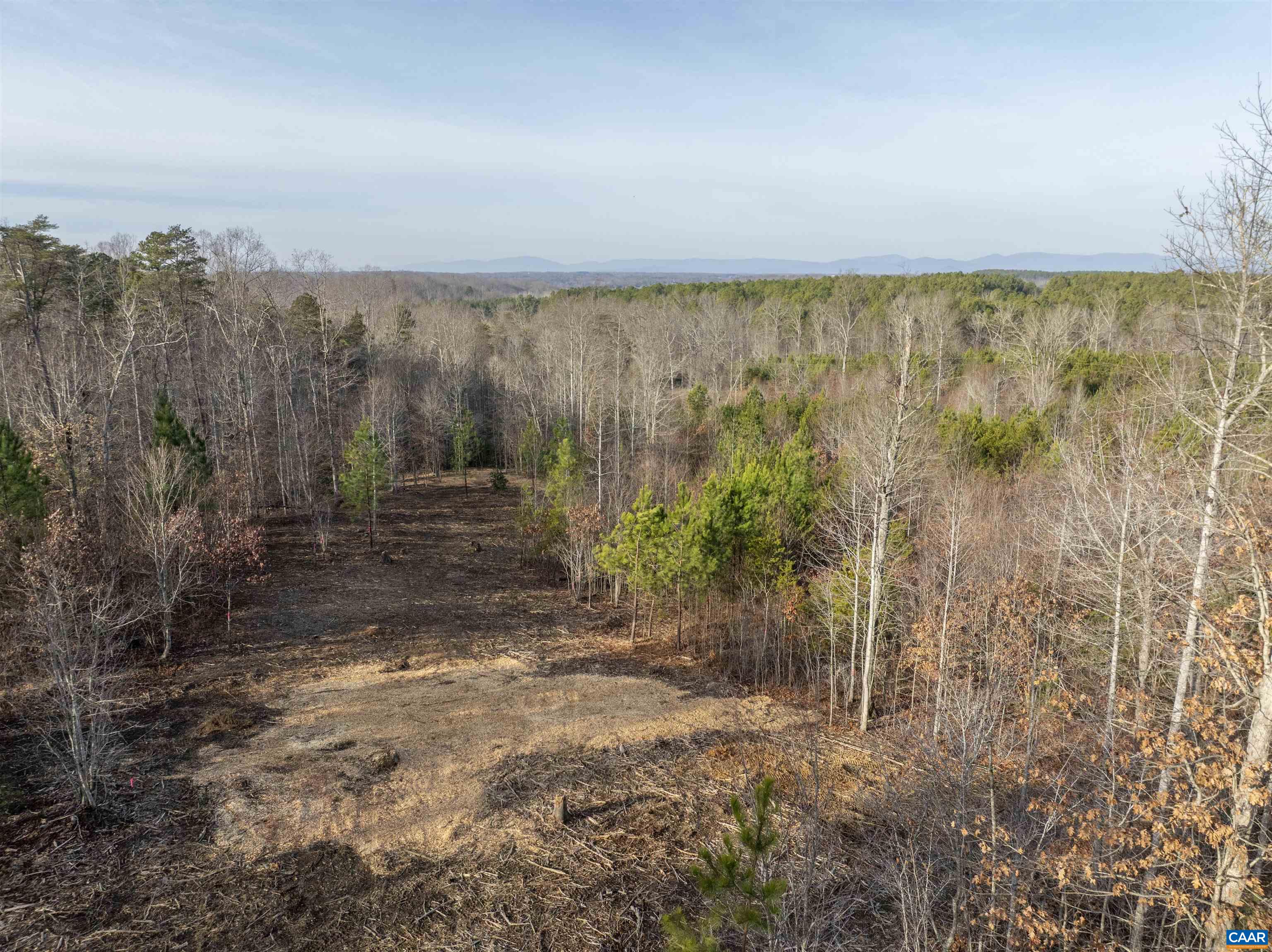 3860-5 Gilbert Station Road Barboursville, VA 22923 - Photo 6 of 17