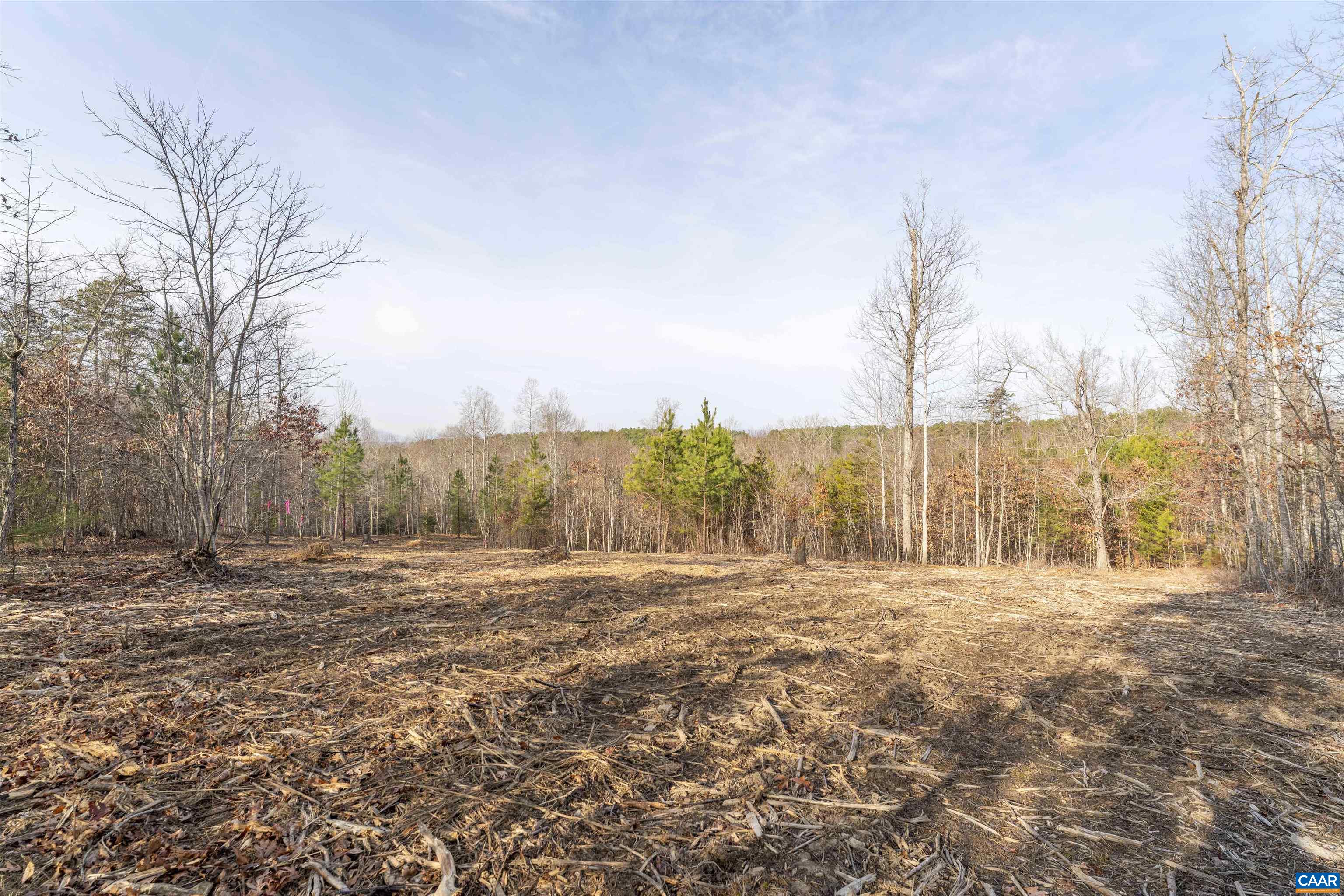 3860-5 Gilbert Station Road Barboursville, VA 22923 - Photo 9 of 17 a view of outdoor space with trees