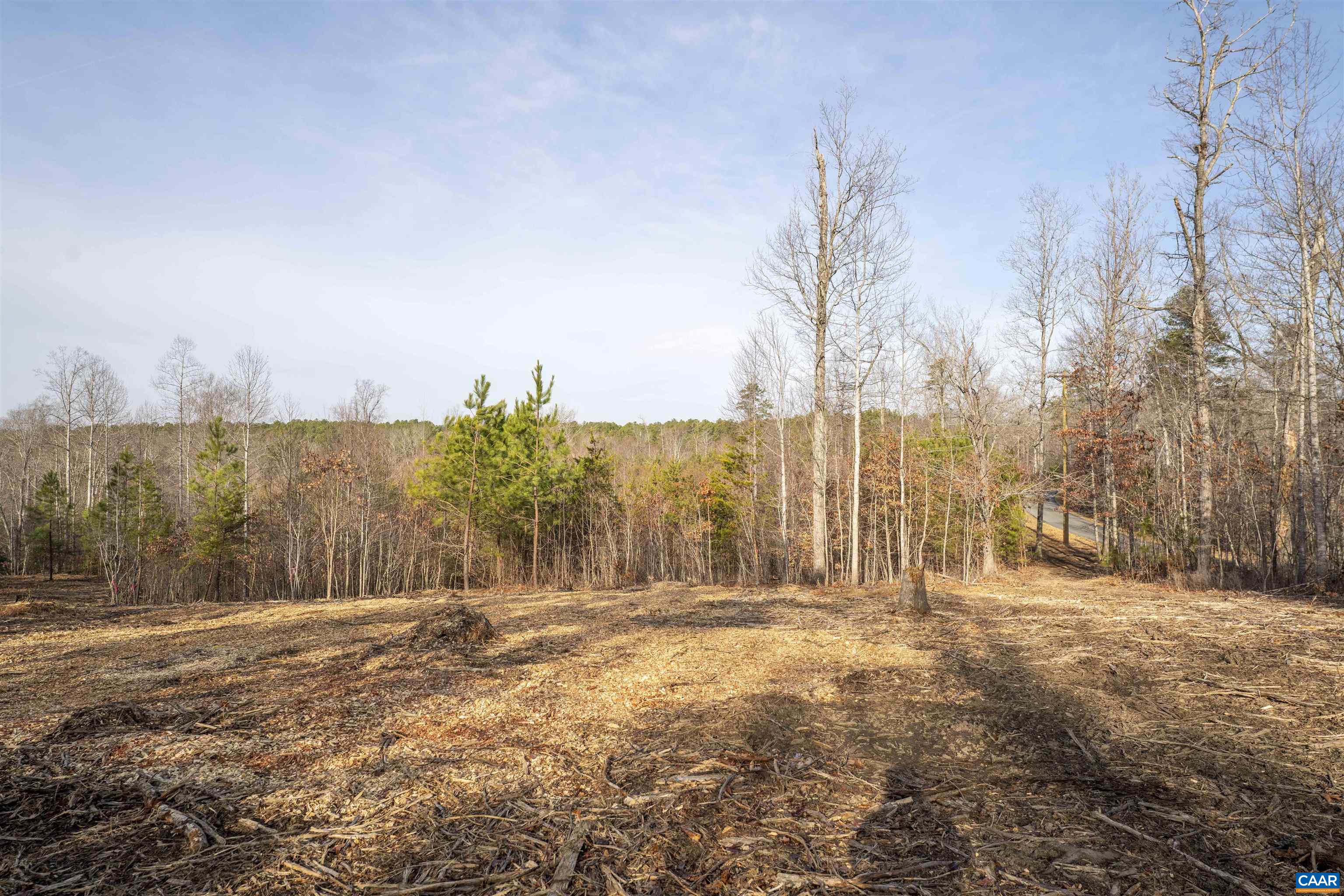 3860-5 Gilbert Station Road Barboursville, VA 22923 - Photo 10 of 17 a view of large trees with wooden fence