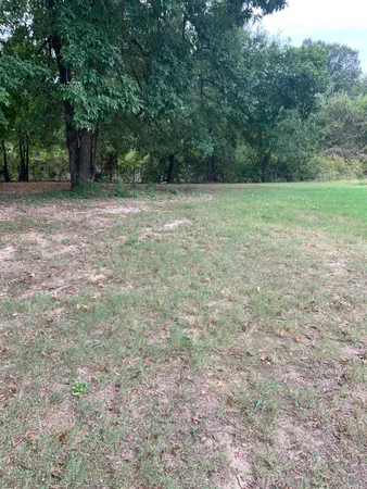 a view of a field with trees in the background