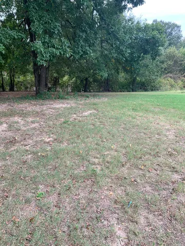 a view of a field with trees in the background
