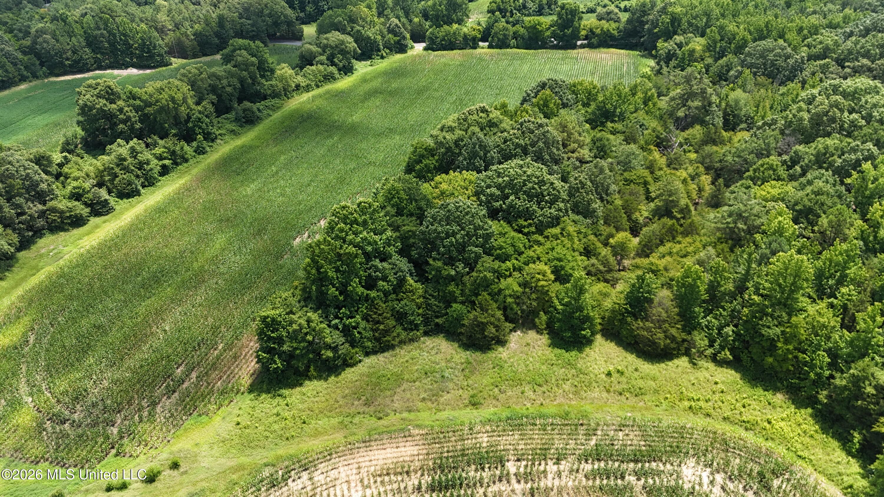 Barr Road Coldwater, MS 38618 - Photo 14 of 19 DJI_20260706121101_0064_D